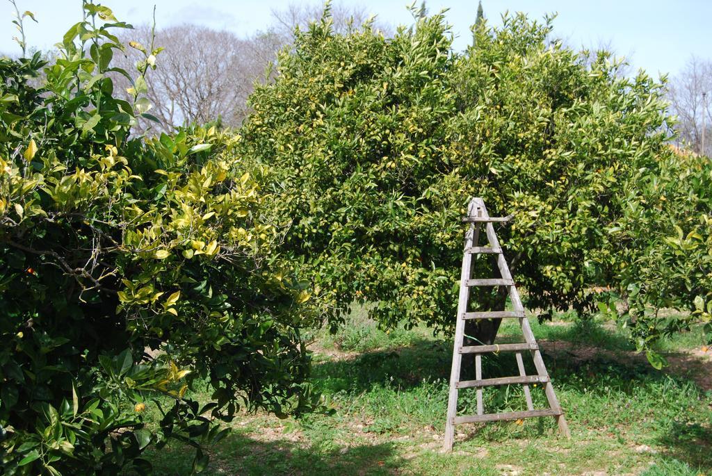 Finca Son Vivot Экстерьер фото