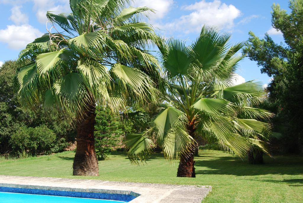 Finca Son Vivot Экстерьер фото
